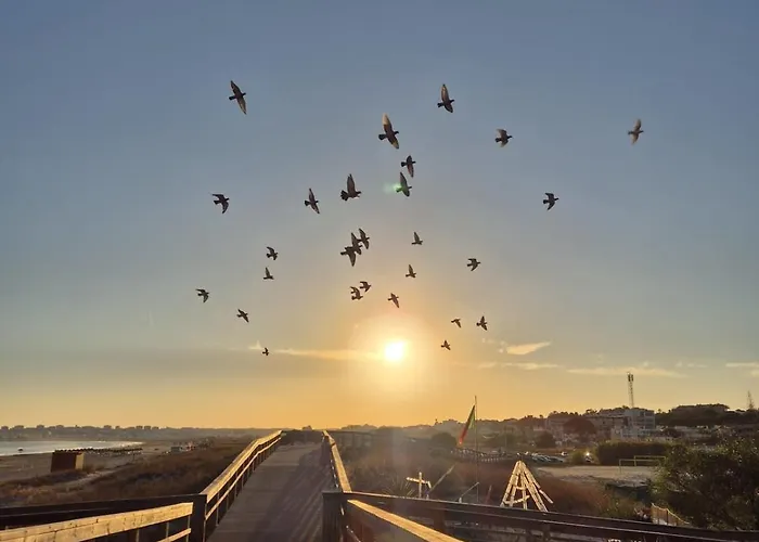 Vibes Spacious 2 Bedroom Flat With Terraces And Pool * ラゴス